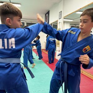 Tecnica di Phan Don Vovinam