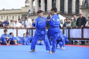 Tecnica di Phan Don Vovinam