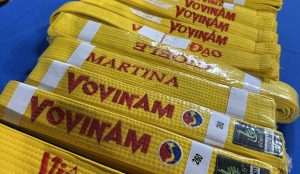 Vovinam esami cintura gialla