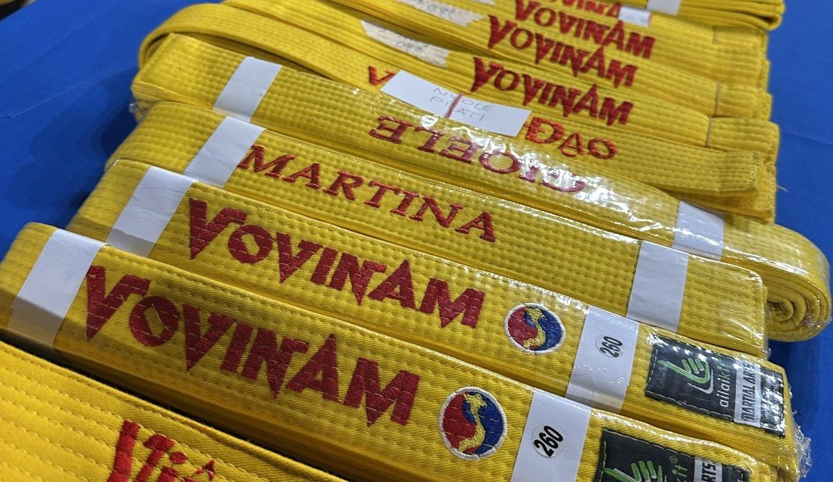 Vovinam esami cintura gialla