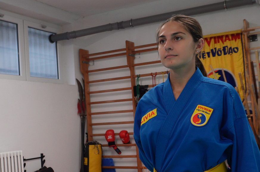 Lo stemma del Vovinam Viet Vo Dao