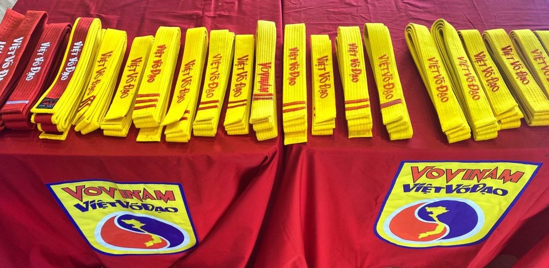 Le cinture del Vovinam