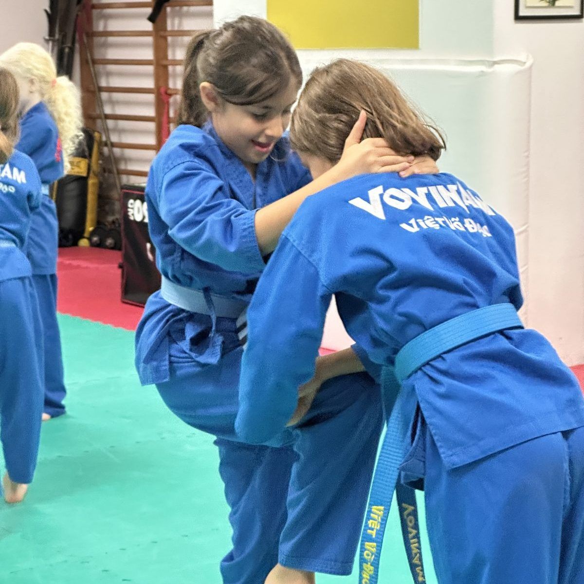 Corsi di Vovinam a Milano