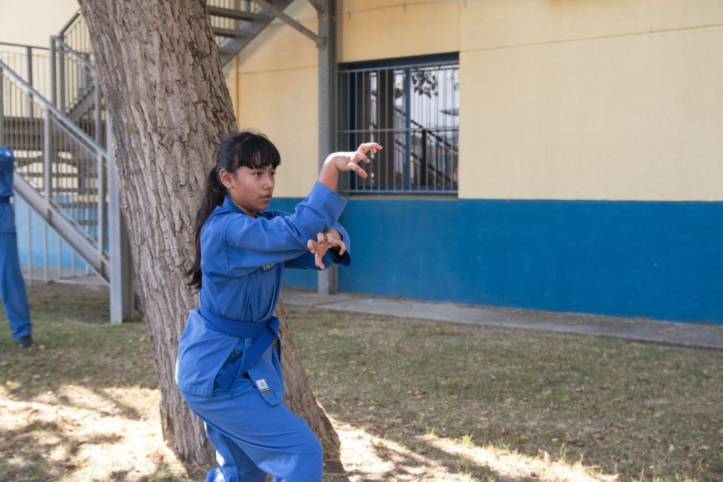 Vovinam Junior Camp 2026